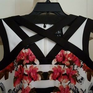Sequenza Dadi Peggable - Bilingue di Jax, Multi Color (8032